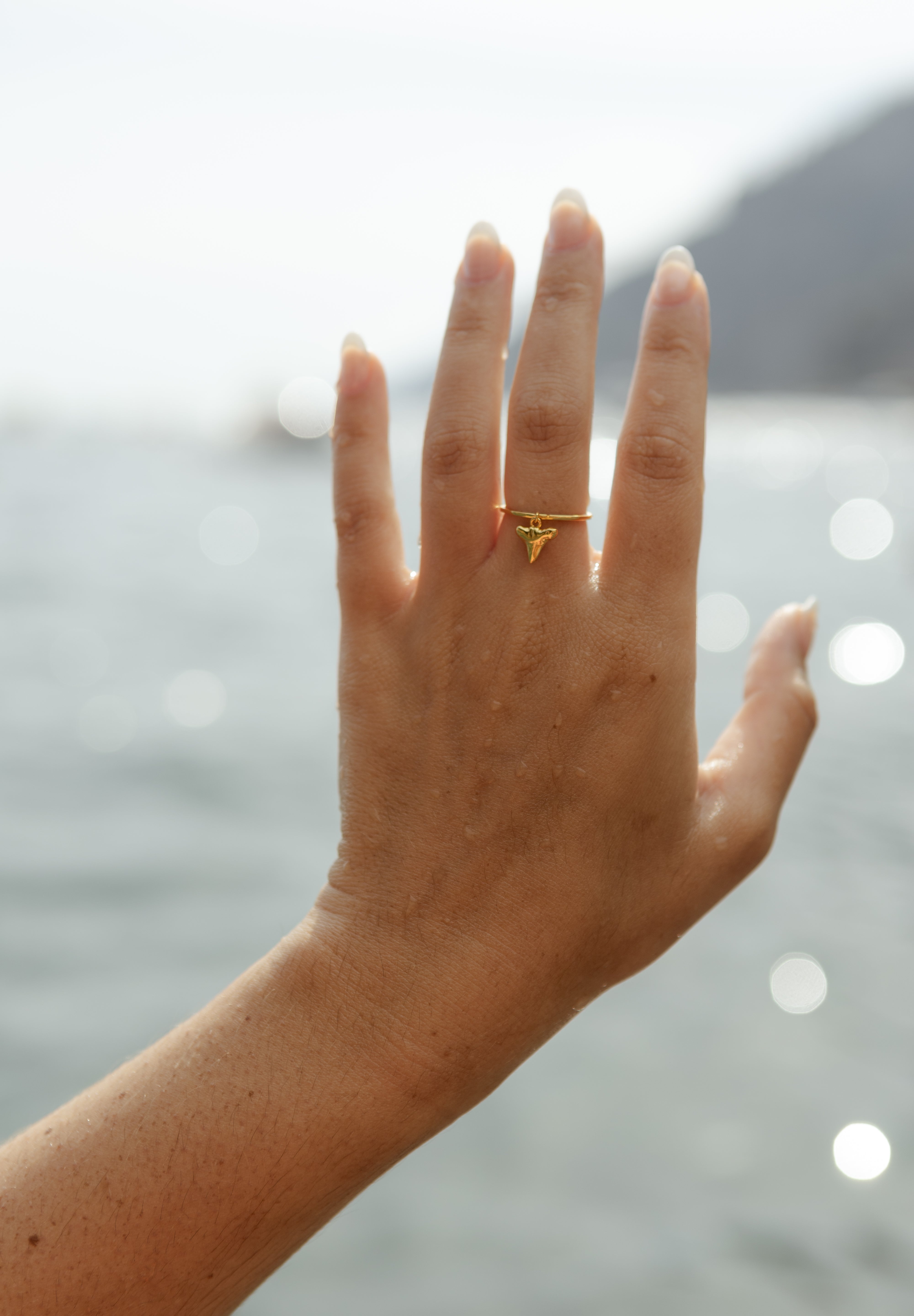 POSITANO DAINTY CHARM RING - GOLD