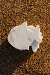 SHARK MARBLE COASTERS, SET OF 4