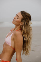 SHARK JAW CLIP SHELL