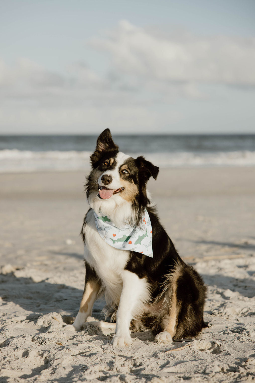 DOG BANDANA REVERSIBLE