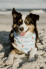 DOG BANDANA REVERSIBLE