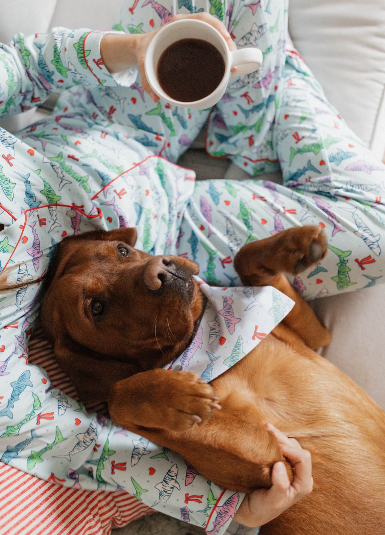 DOG BANDANA REVERSIBLE
